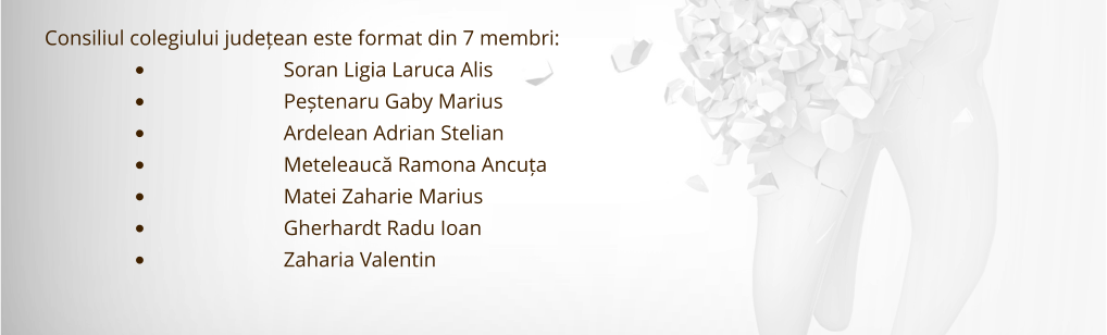 Consiliul colegiului județean este format din 7 membri: •	Soran Ligia Laruca Alis •	Peștenaru Gaby Marius •	Ardelean Adrian Stelian •	Meteleaucă Ramona Ancuța •	Matei Zaharie Marius •	Gherhardt Radu Ioan •	Zaharia Valentin