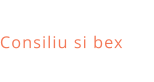 Consiliu si bex