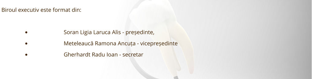 Biroul executiv este format din:  •	Soran Ligia Laruca Alis - președinte, •	Meteleaucă Ramona Ancuța - vicepreședinte •	Gherhardt Radu Ioan - secretar
